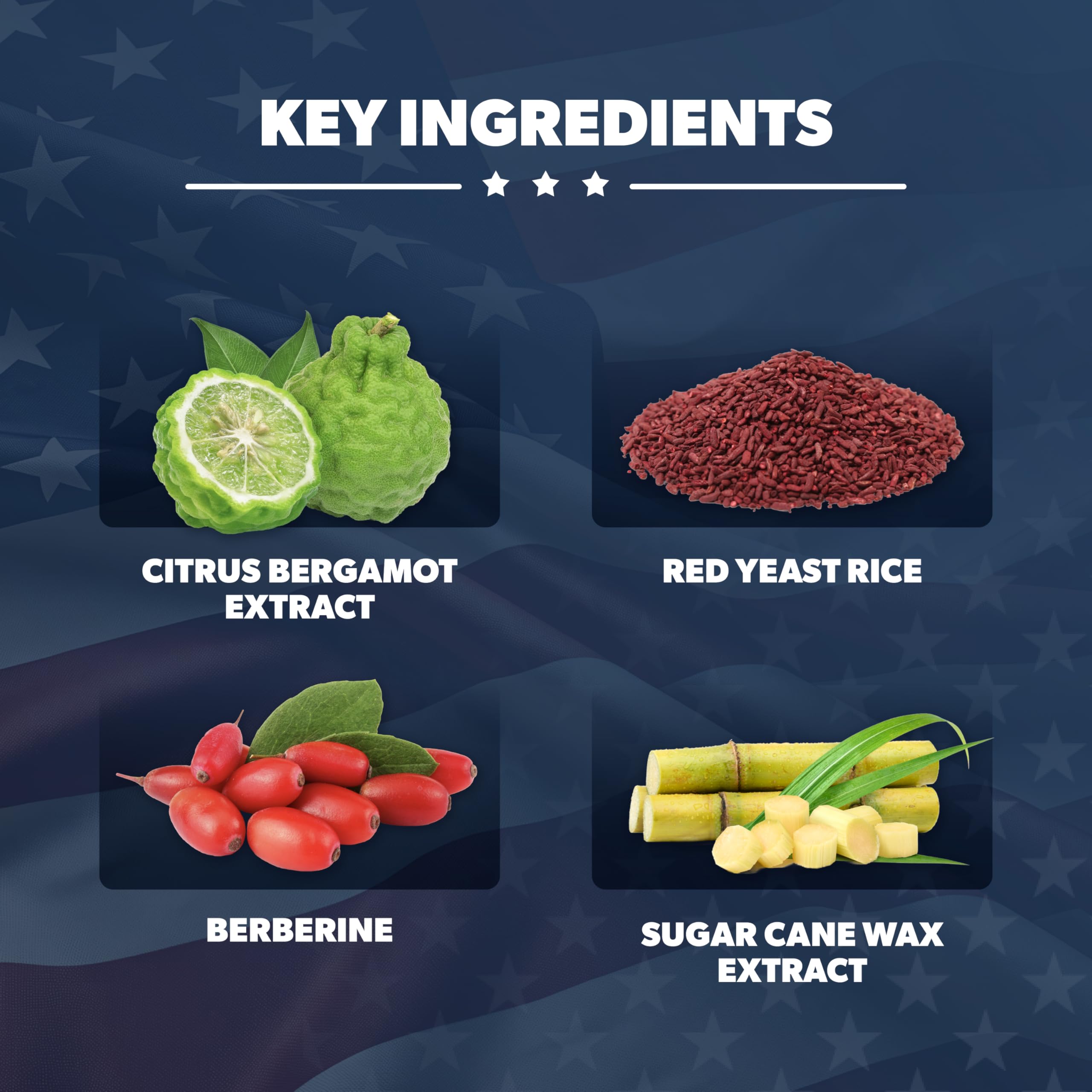 American Vitality Liberty Heart berberine powder close-up supports cardiovascular balance.