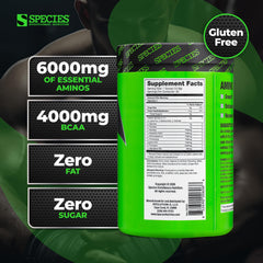 Amino Evolved pour-into-glass demonstrates fast-absorbing formula for steady energy