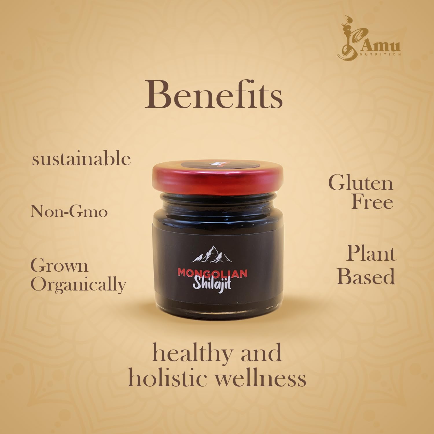 Packaging box highlights Himalayan origin and organic quality.
