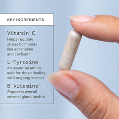 Amy Myers MD Acid Restore with DGL and slippery elm for gut mucosa support.
