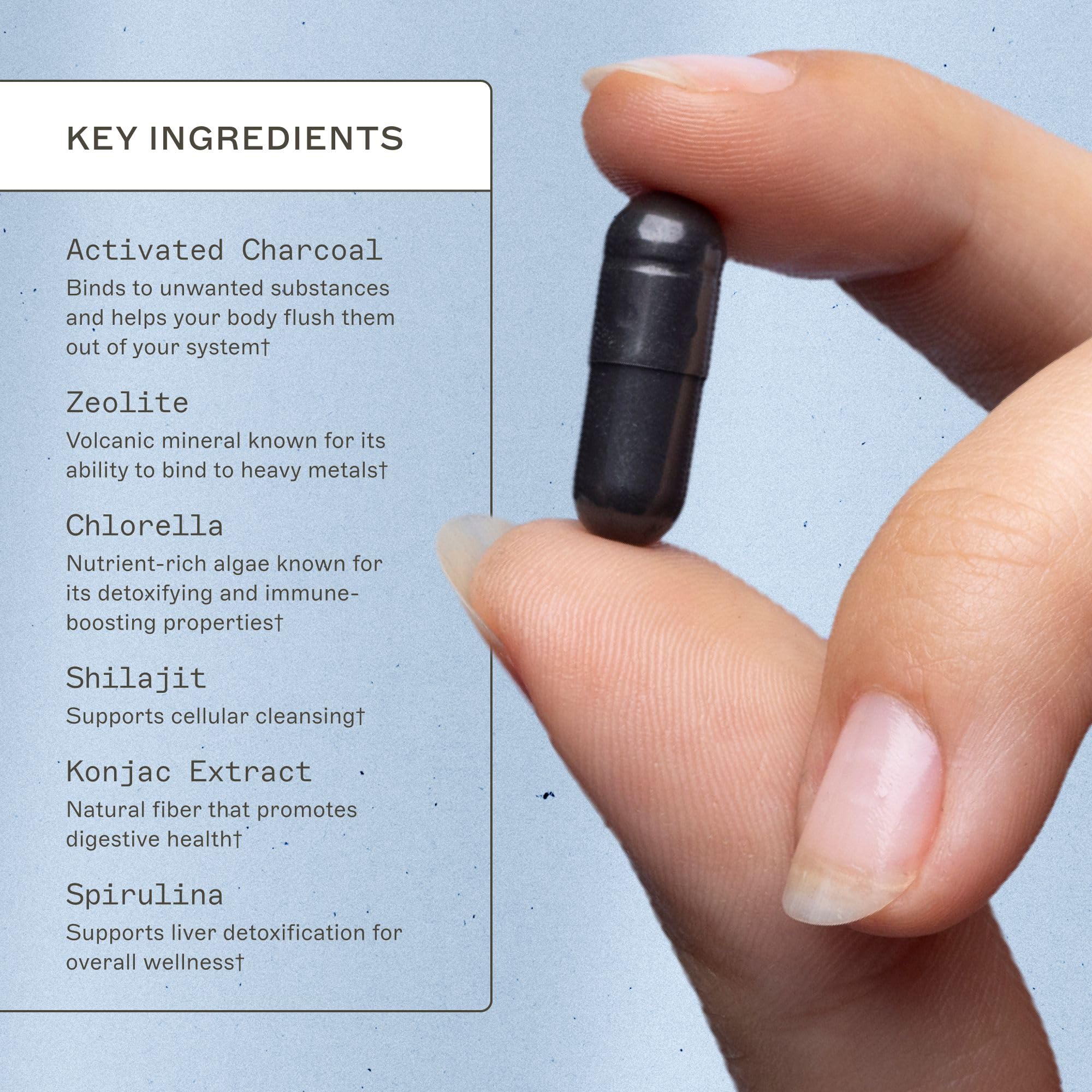 Amy Myers MD Charcoal Binder label on bottle highlights minerals and fiber for gut health.