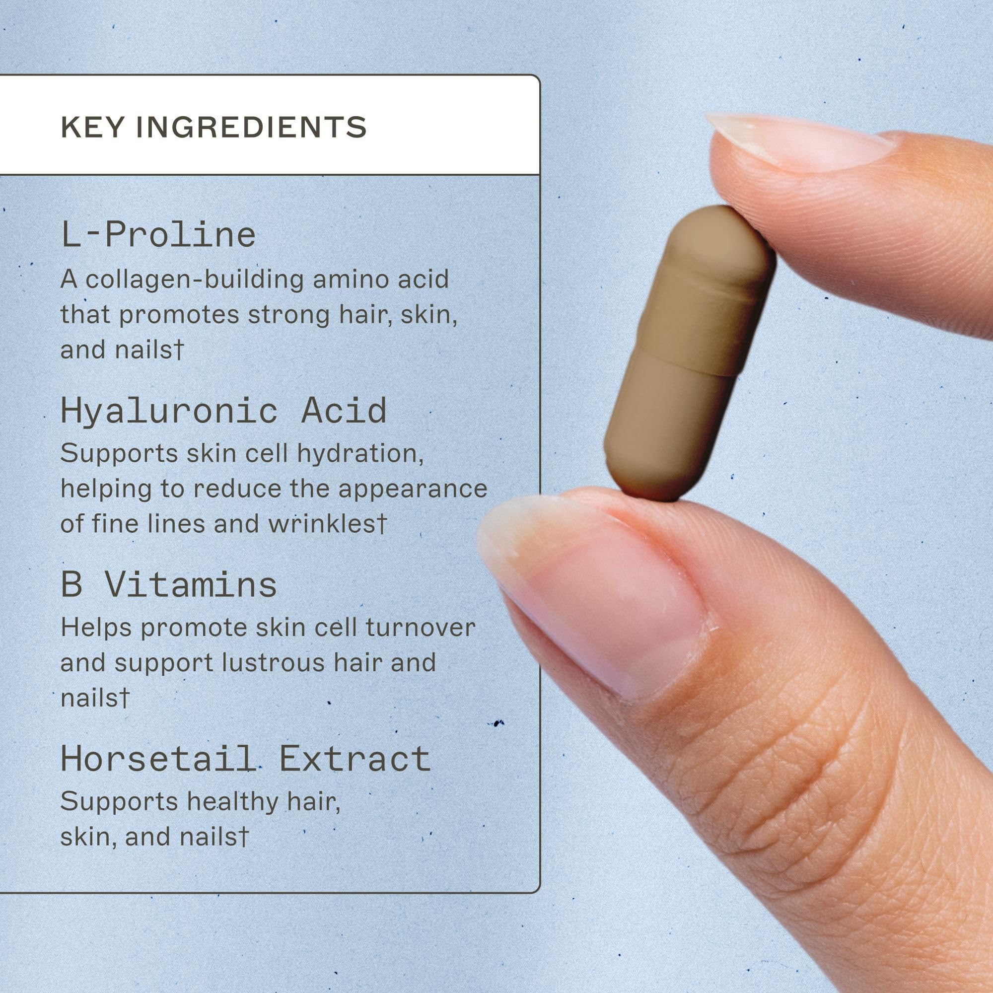 Amy Myers MD horsetail extract ingredient emphasizing potential support for hair, skin, and nails