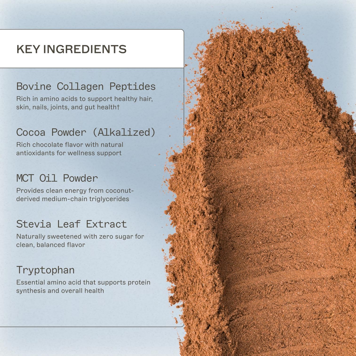 Amy Myers MD Paleo Protein Powder Mocha Latte scoop shown ready to mix for a quick, convenient boost.