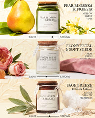 AMYRYLAN three-pack set sage breeze sea salt clean burn