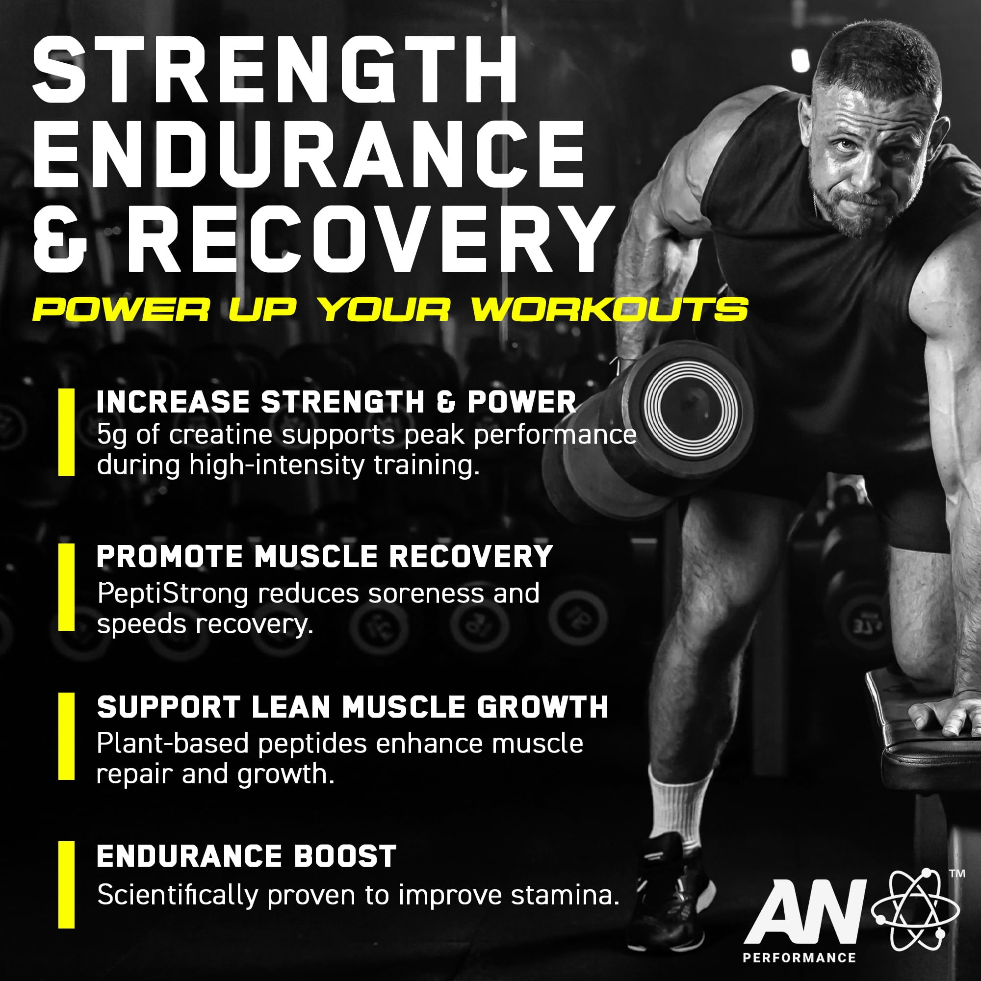 Scoop for AN Performance Creatine Monohydrate Peptide shows precise serving