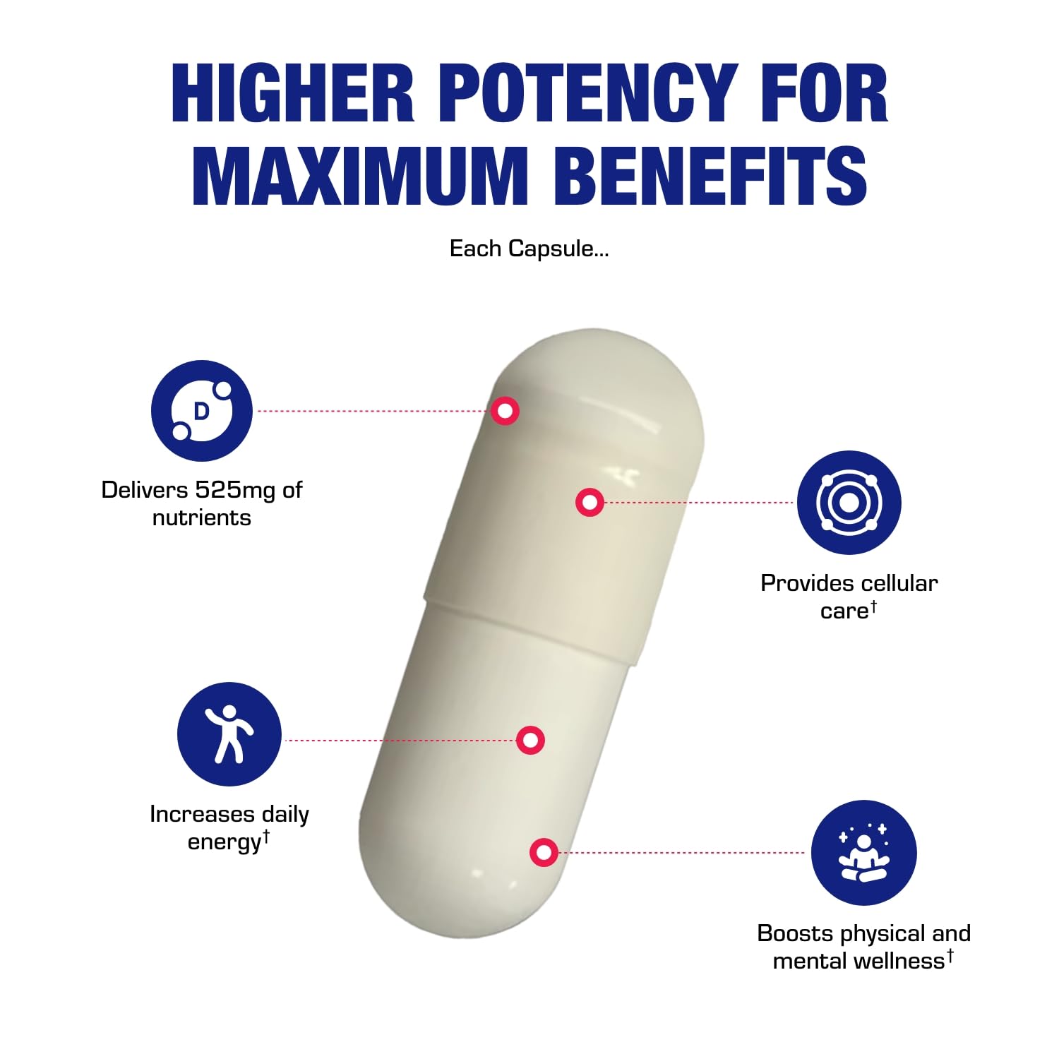 Anabolic Laboratories clinical-formula infographic outlines simple compatibility with existing regimens.