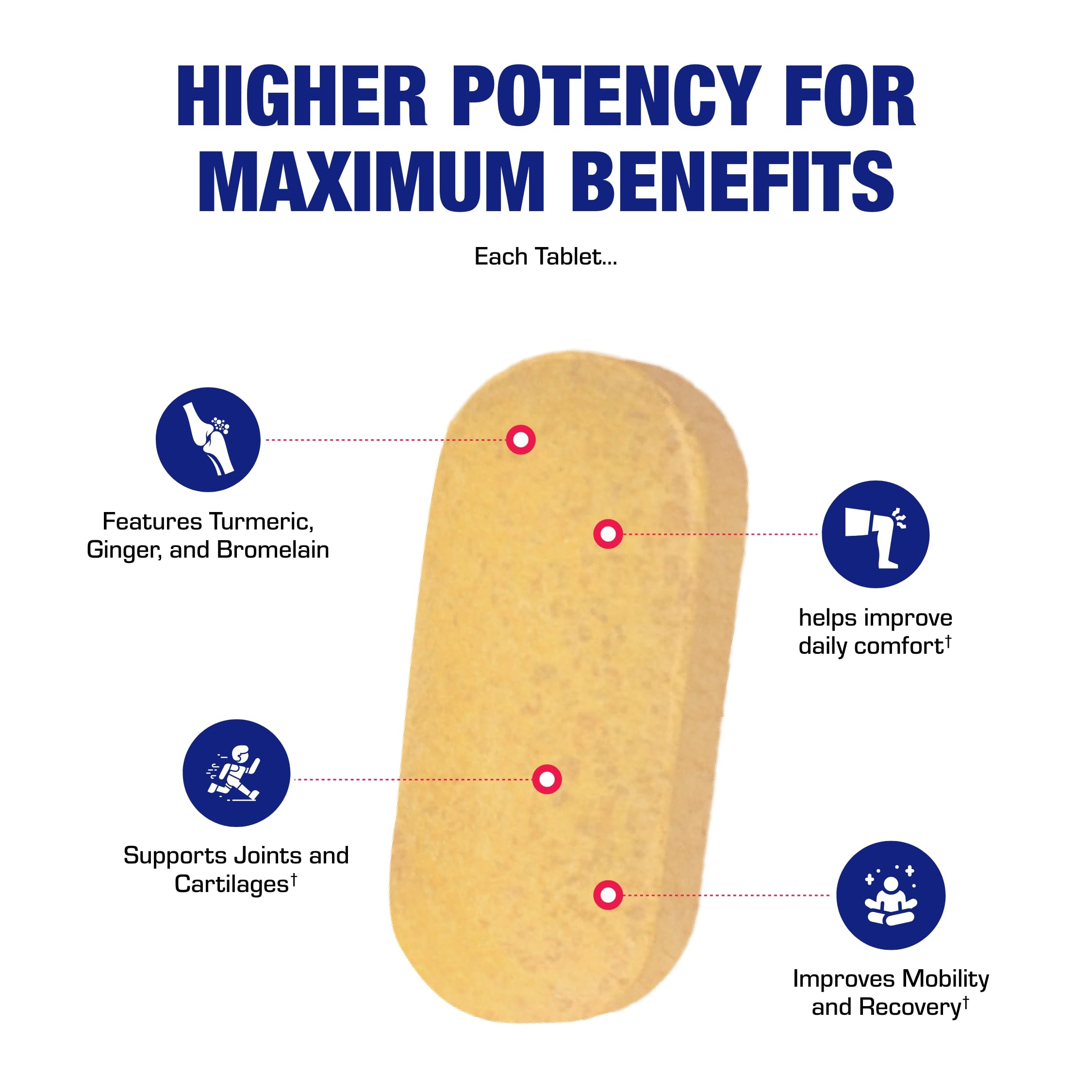 Pro ENZ science graphic illustrating proteolytic enzymes and botanicals.