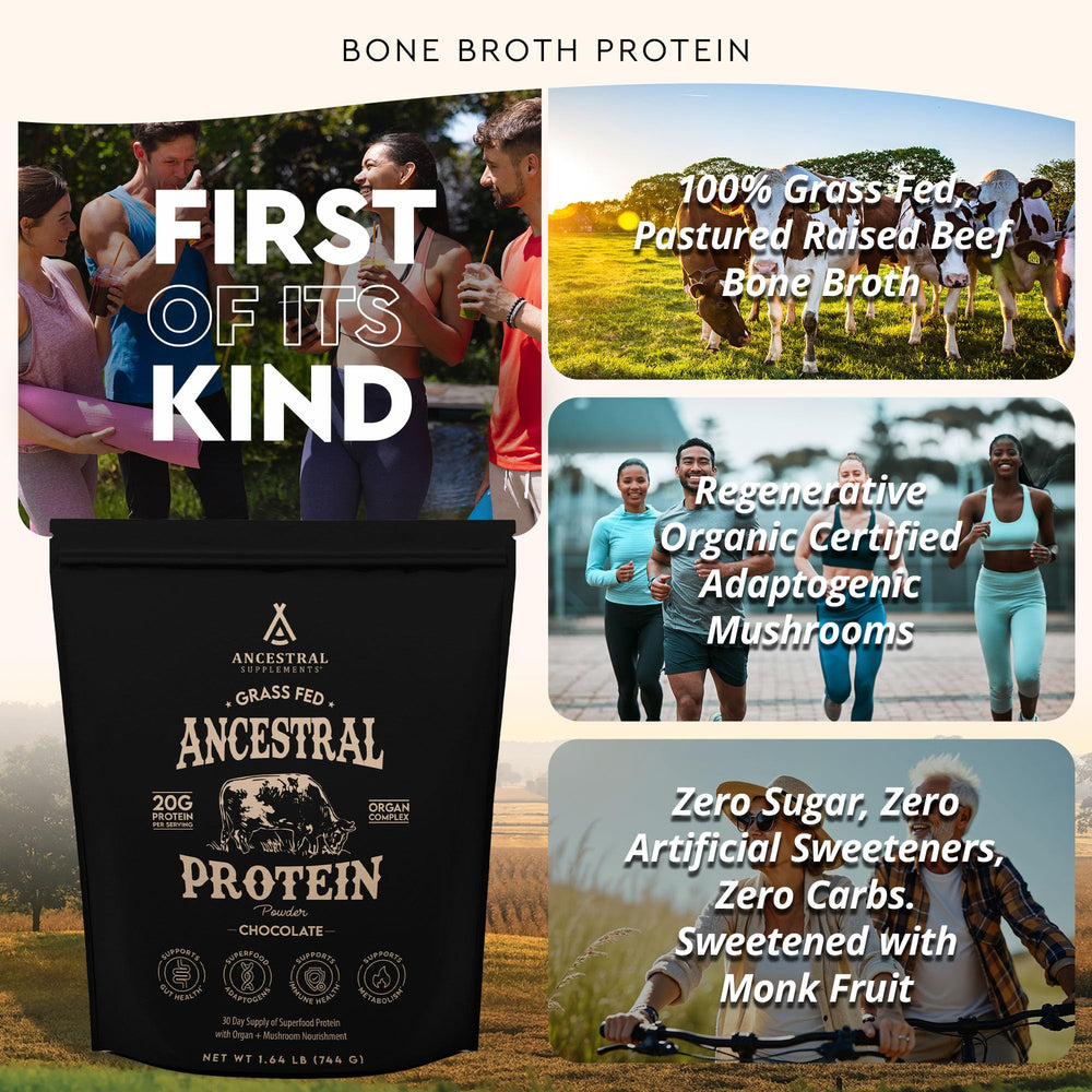 Ancestral Supplements beef bone broth protein in shaker cup for convenient nutrition