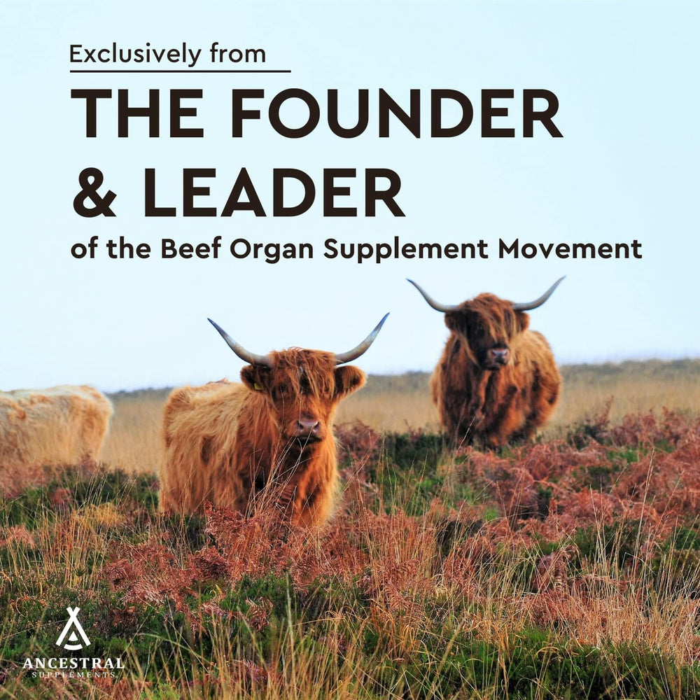 Ancestral Supplements CoQ10 supplement graphic emphasizing energy-supporting nutrients