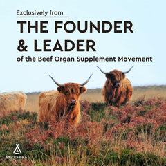 Ancestral Supplements CoQ10 supplement graphic emphasizing energy-supporting nutrients