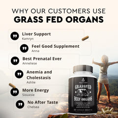 Ancestral Supplements Freeze-Dried Beef bottle side view conveys potent nutrient preservation