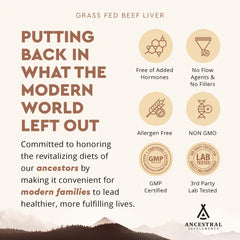 Pasture-raised cows used for Ancestral Supplements grass-fed beef liver source