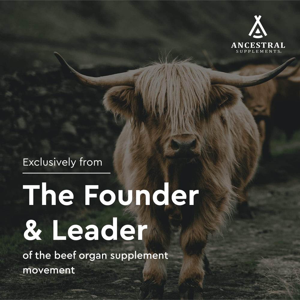 Ancestral Supplements grass-fed cows in pasture, natural sourcing.