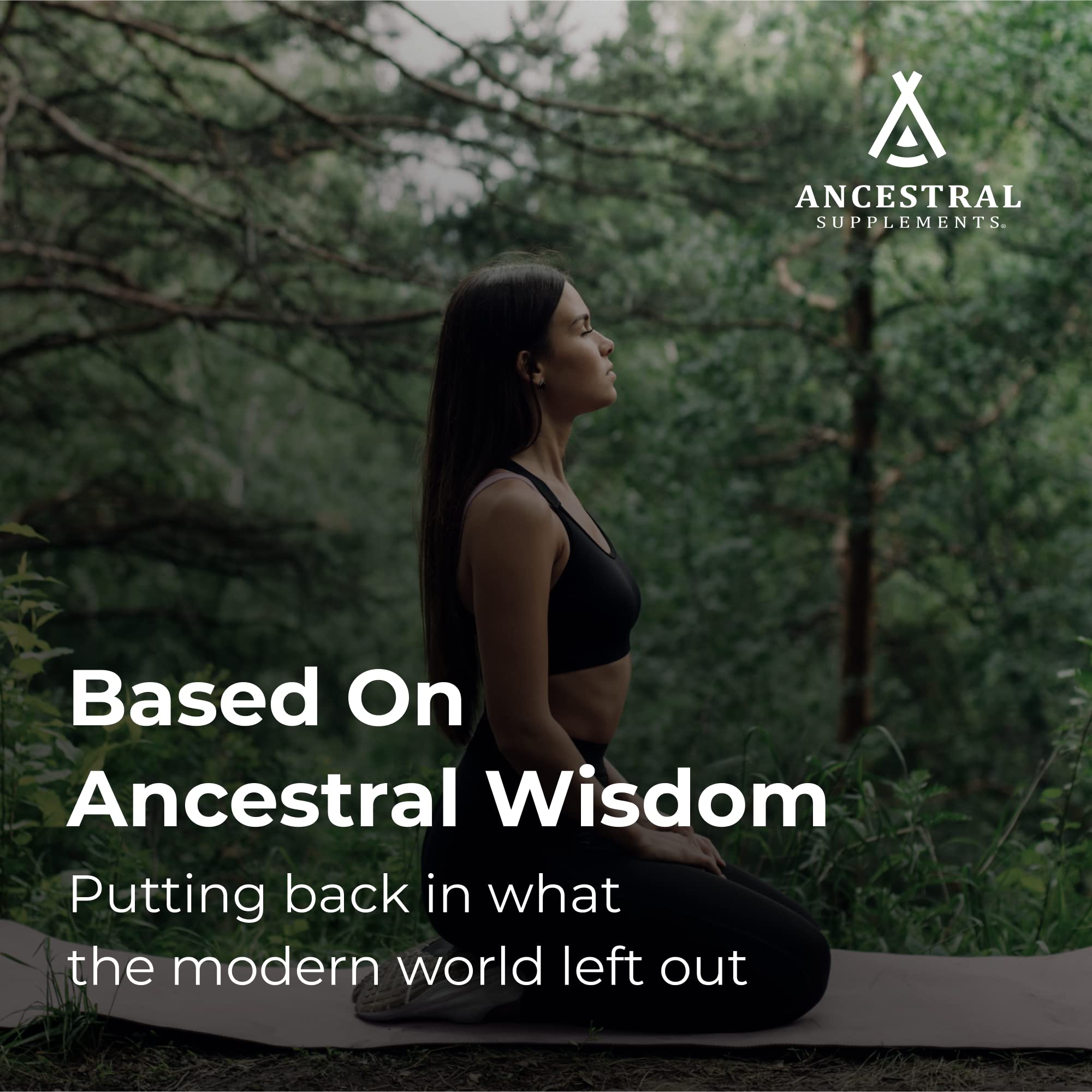 Ancestral Supplements grass-fed fields image with pasture-raised cows.