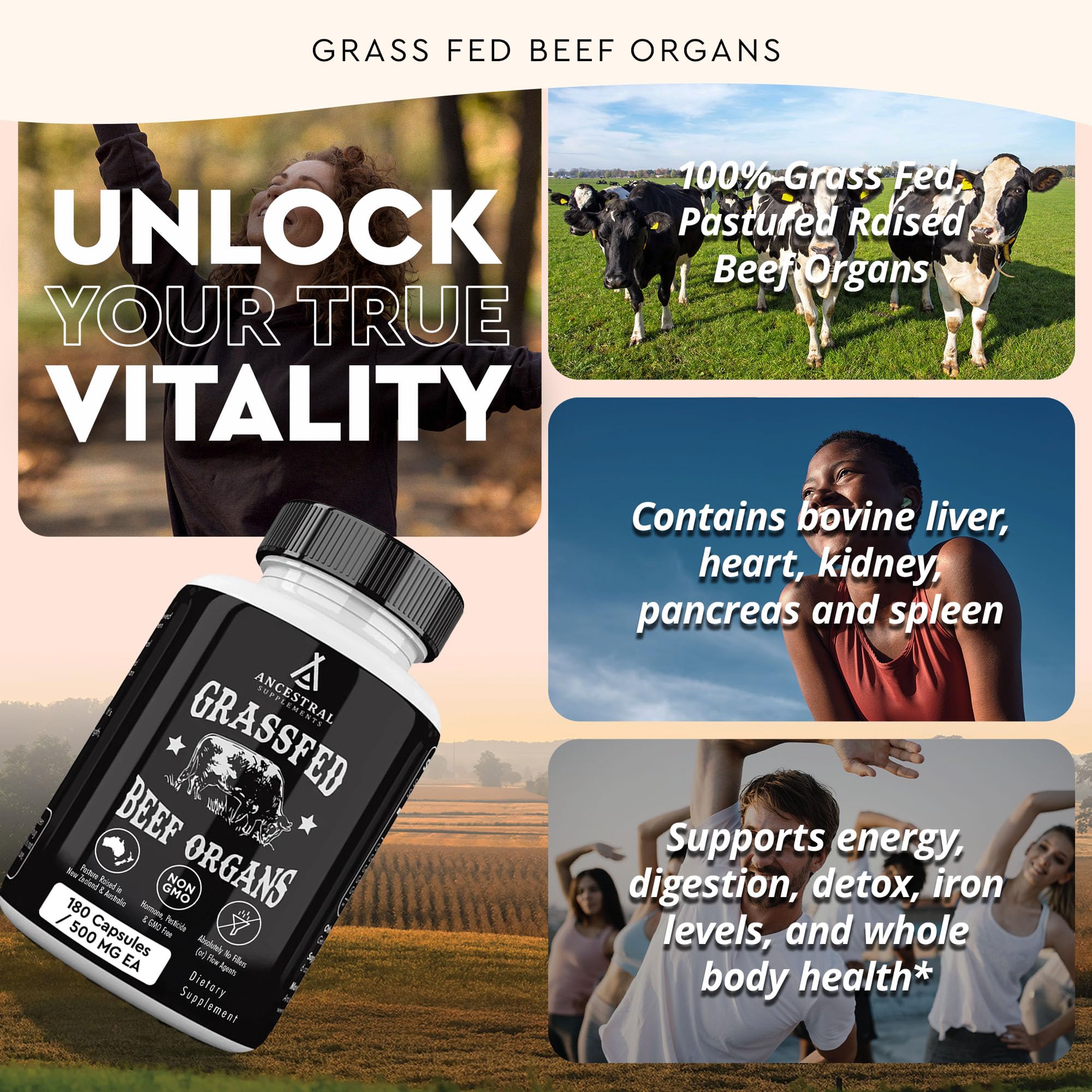 Ancestral Supplements Grass-Fed Kidney bottle front view with antioxidant and detox support