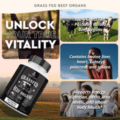 Ancestral Supplements Grass-Fed Kidney bottle front view with antioxidant and detox support