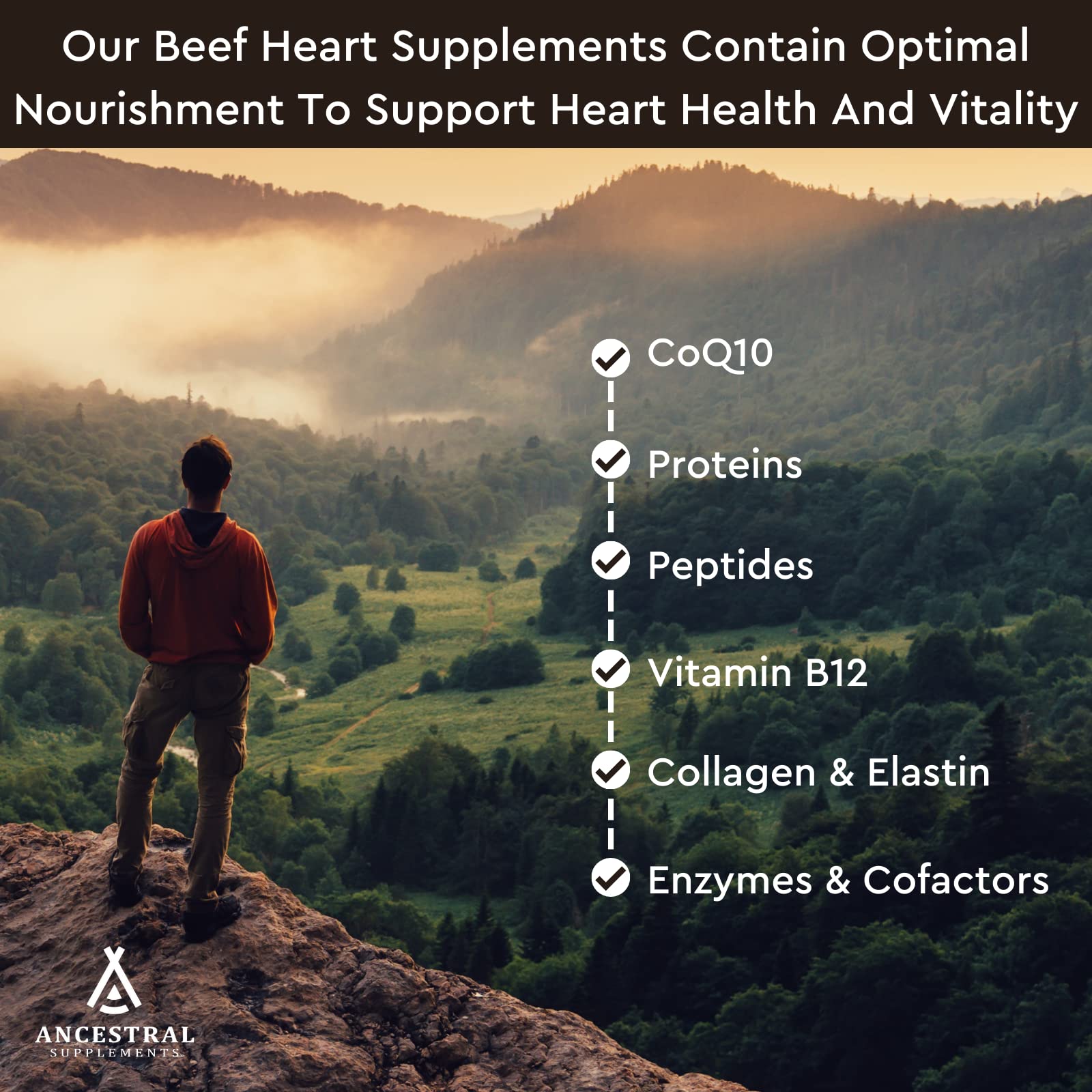 Ancestral Supplements green fields origin image highlighting natural grass-fed source nutrients