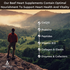 Ancestral Supplements green fields origin image highlighting natural grass-fed source nutrients