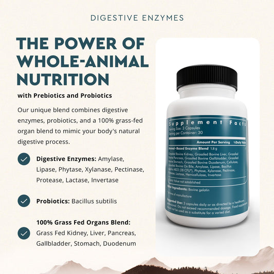 Ancestral Supplements probiotic capsules with Bacillus subtilis support gut health and balanced digestion.