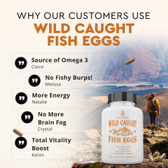 Ancestral Supplements MSC-certified wild fish eggs image signaling sustainable sourcing.