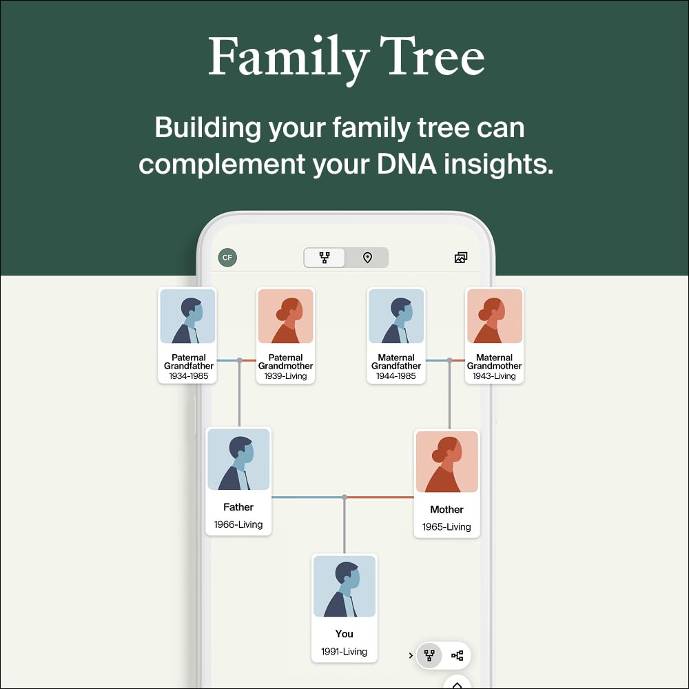 AncestryDNA ethnicity chart visualization across regions