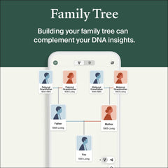 AncestryDNA ethnicity chart visualization across regions