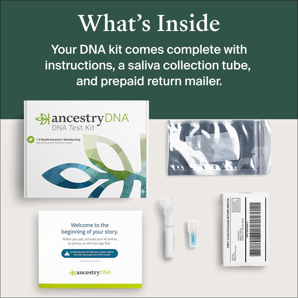 AncestryDNA record search interface for family history exploration