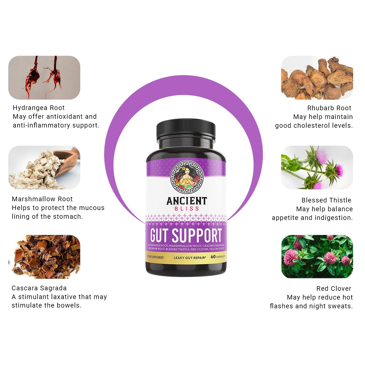 Ancient Bliss blessed thistle root image emphasizing natural plant-based ingredients.