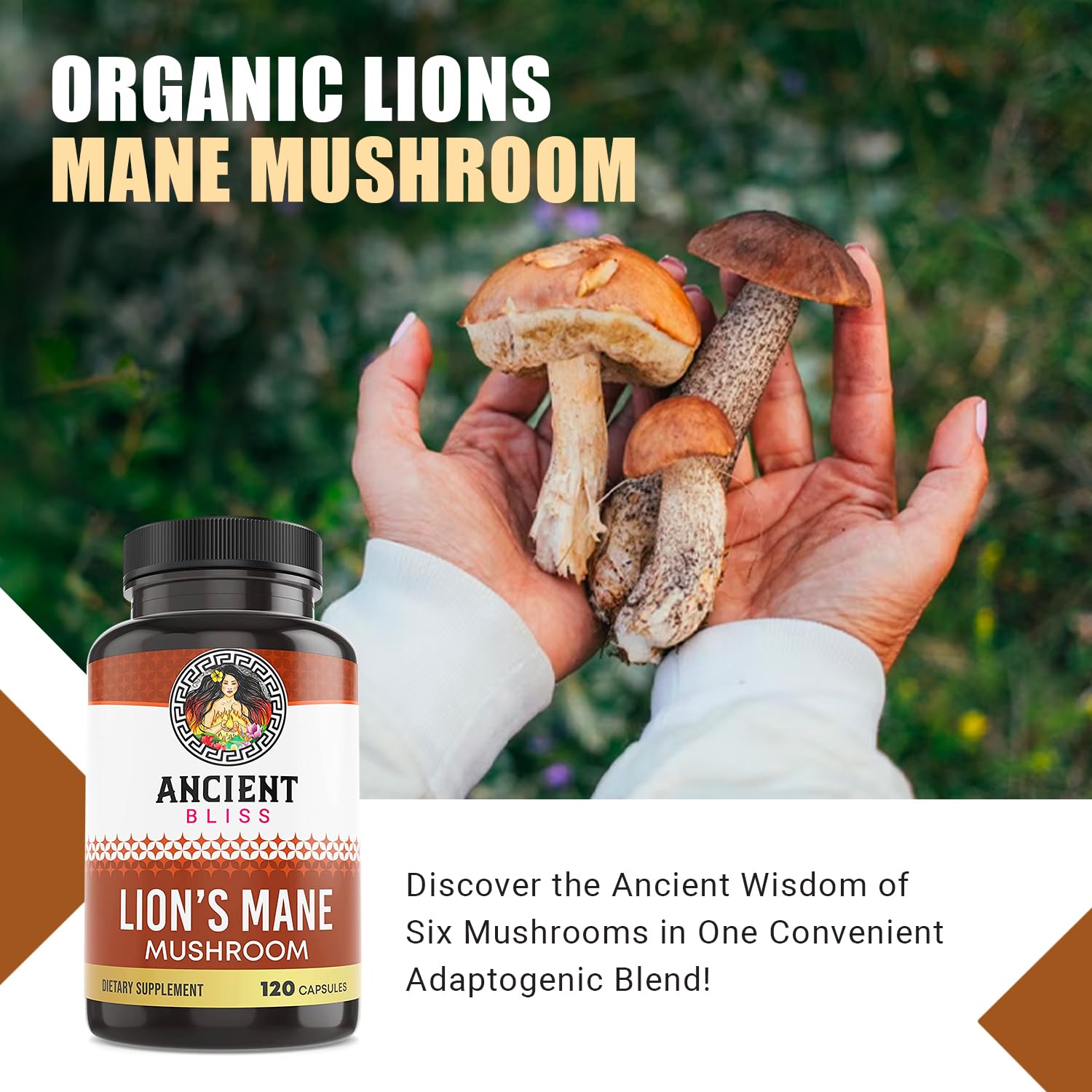 Ancient Bliss Lion’s Mane capsules arranged for a simple daily dosage routine.