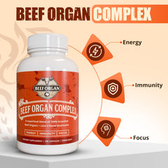 ANCIENT DIOSA Lions Mane and Cinnamon capsules promoting focus and mental clarity