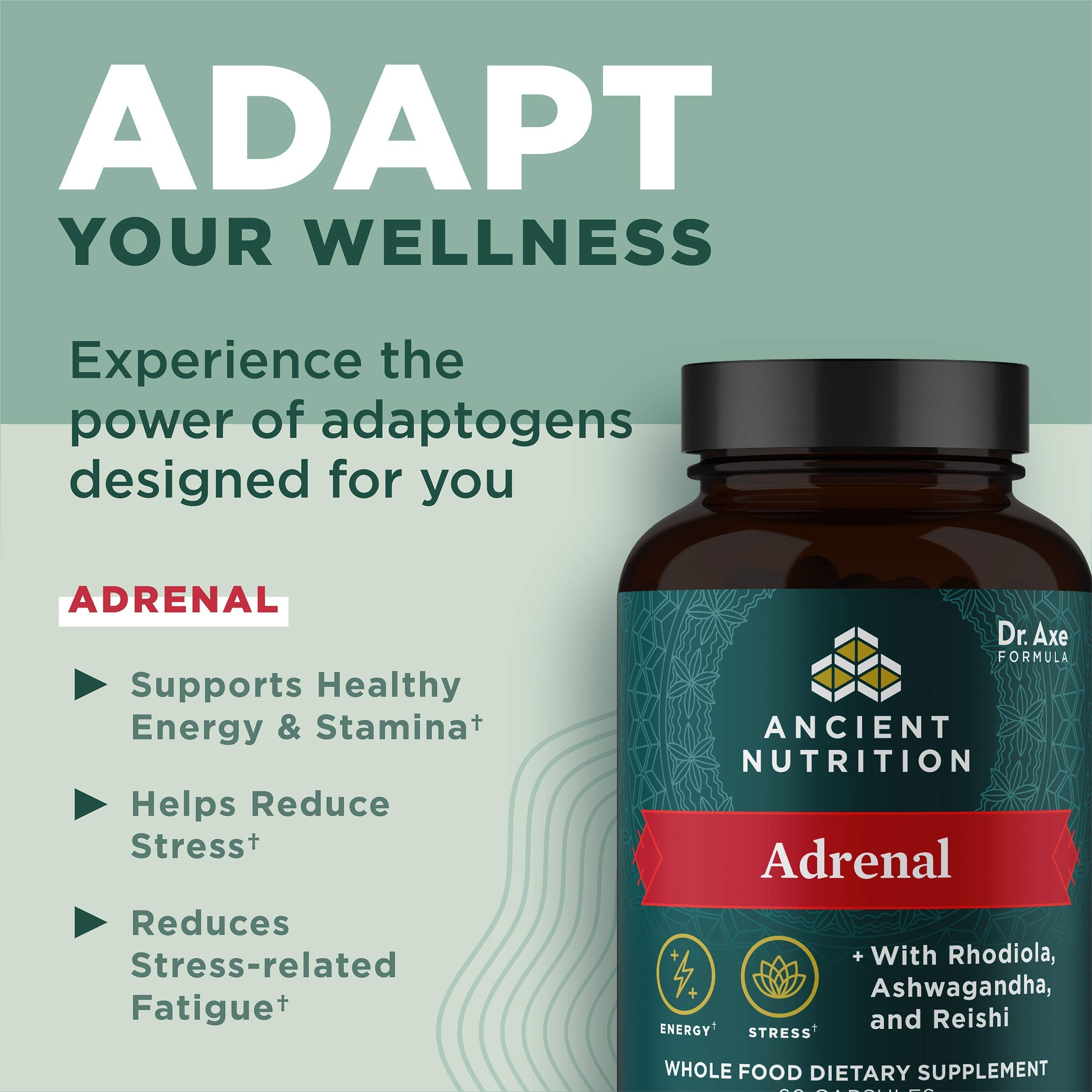 Ancient Nutrition Adrenal Support ashwagandha blend image emphasizing adaptogens.