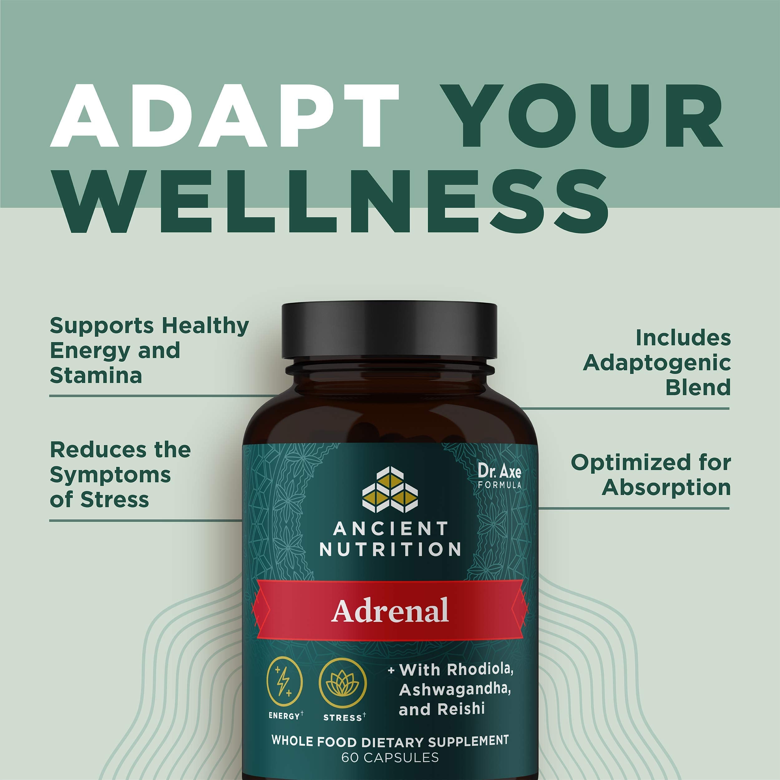 Ancient Nutrition Adrenal Support Rhodiola-Reishi herb imagery highlighting ingredients.