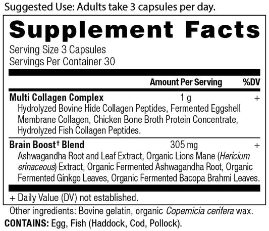Ancient Nutrition Brain Boost capsules displayed for easy daily intake