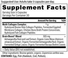 Ancient Nutrition Brain Boost capsules displayed for easy daily intake