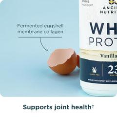 Ancient Nutrition clinically studied collagen demonstrates credibility for joint comfort visuals.