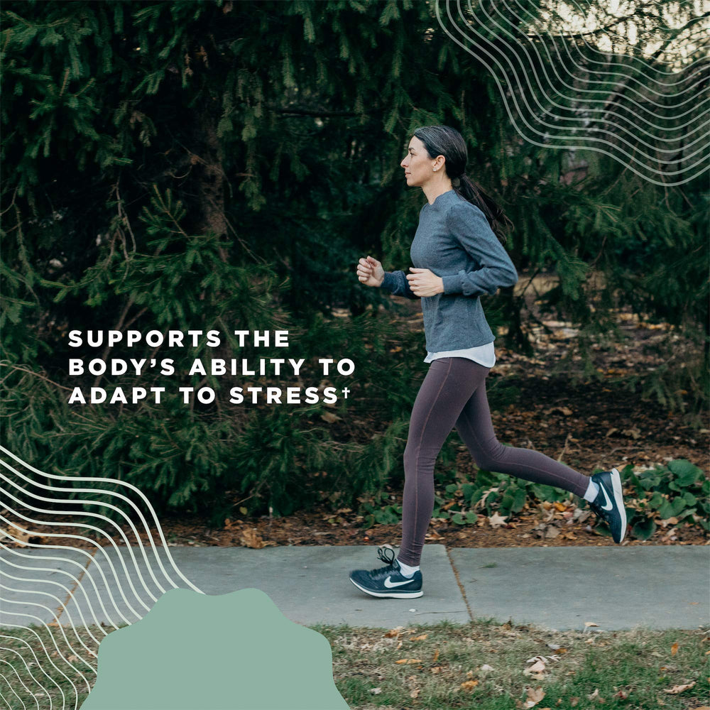 Ancient Nutrition Clinically studied ingredients backed by research