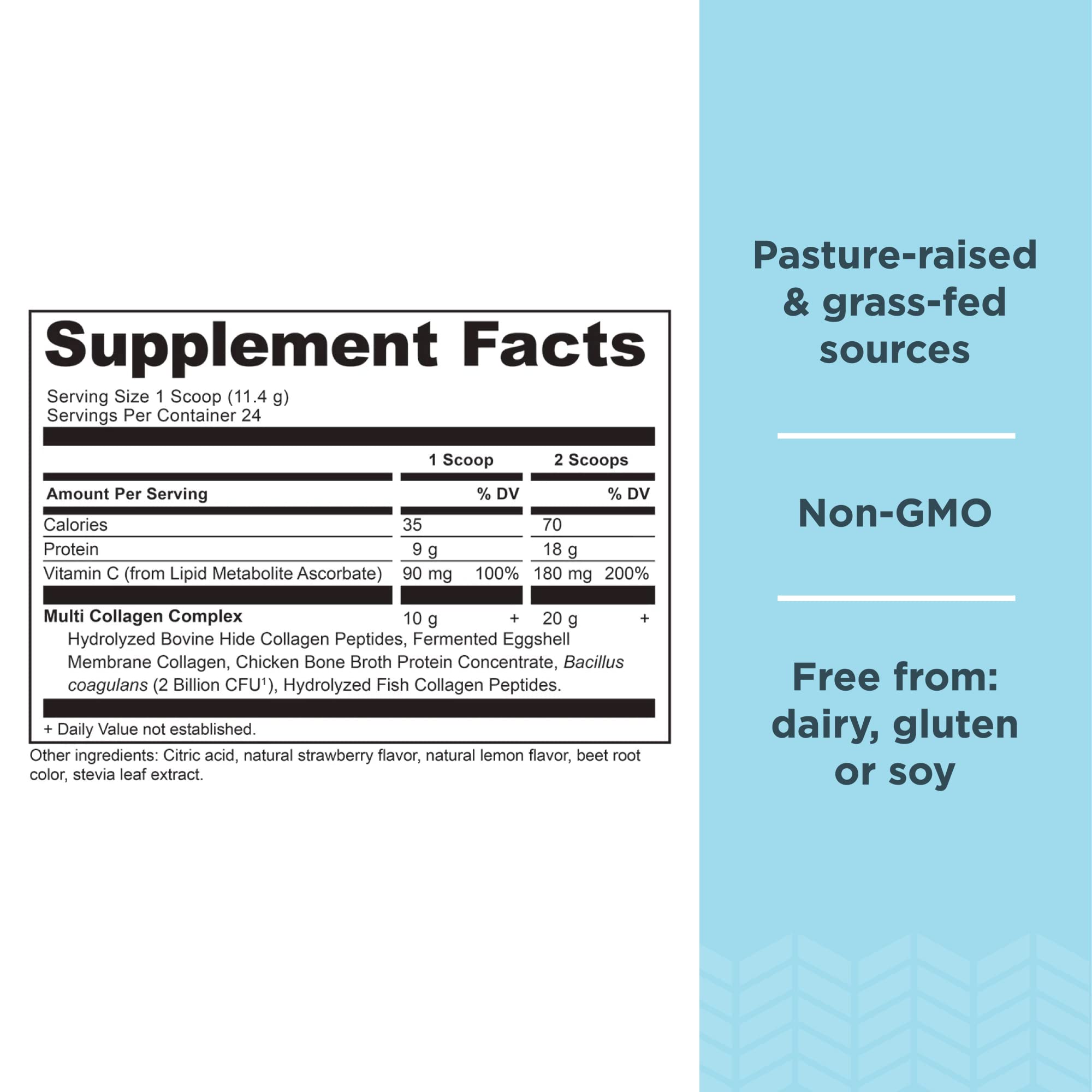 Scoop of Ancient Nutrition collagen powder for easy measurement