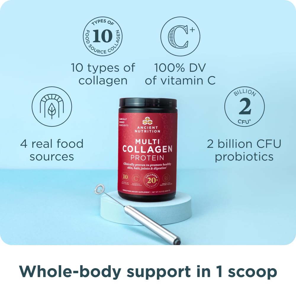 Ancient Nutrition collagen types infographic highlights diverse sources.
