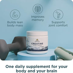 Ancient Nutrition Creatine + Collagen joint support visuals suggest mobility.