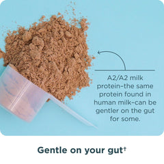 Ancient Nutrition easy-to-digest whey ideal for sensitive stomachs.