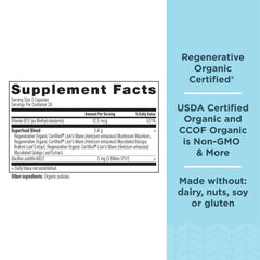 Ancient Nutrition gingko leaf capsule closeup highlighting natural ingredients.