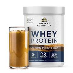 Ancient Nutrition grass-fed whey chocolate peanut butter powder for muscle support.