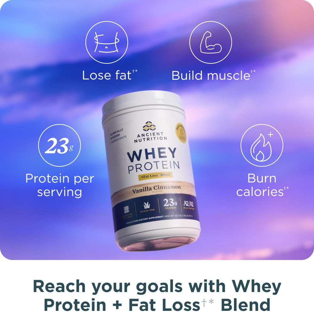 Ancient Nutrition protein tub close-up with Vanilla Cinnamon, ideal for shakes.