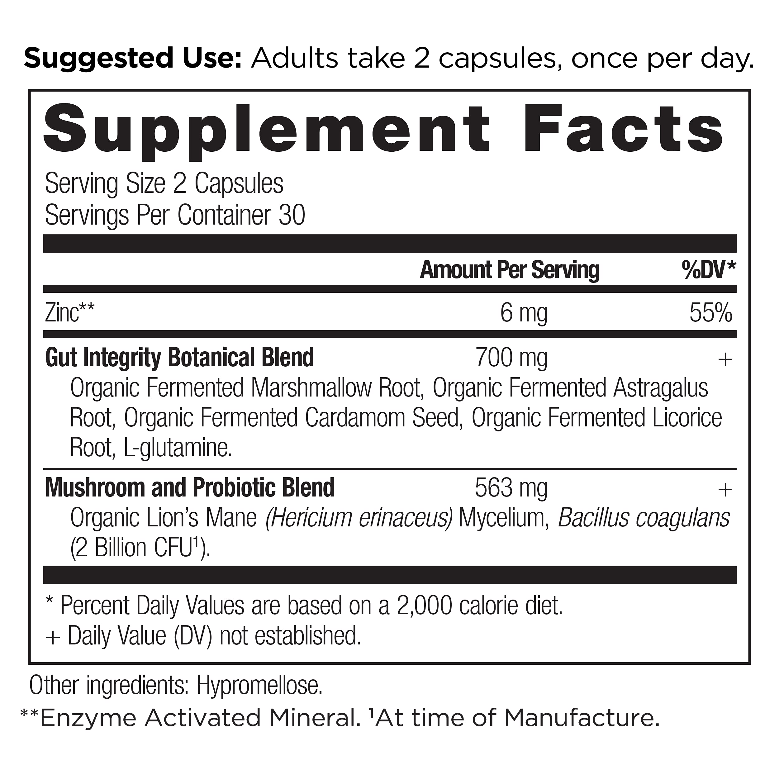 Ancient Nutrition Leaky Gut Capsules dispensing two capsules daily for gut support