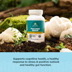 Ancient Nutrition lions mane mushroom capsule image showing cognitive support potential.