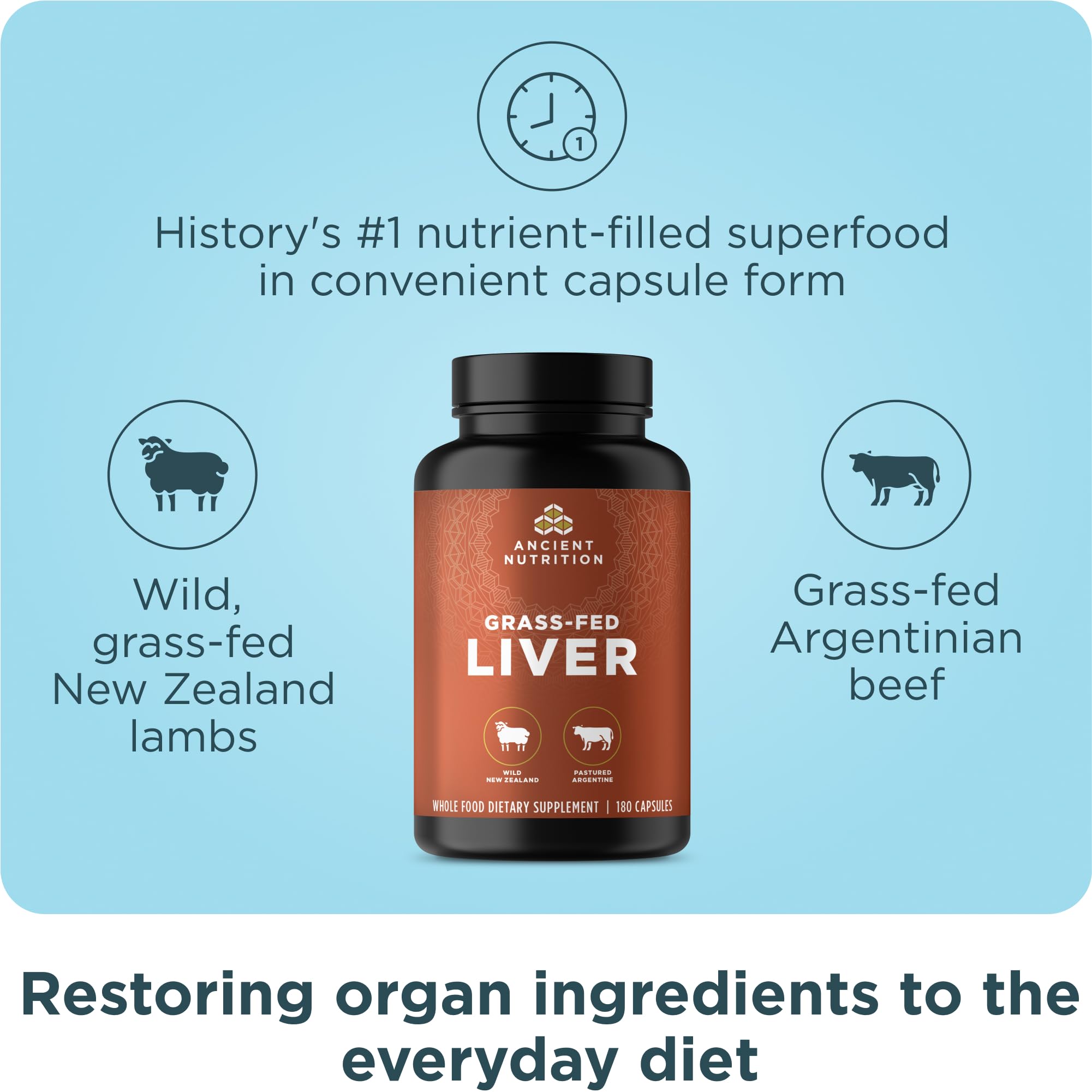 Ancient Nutrition Liver Organ Capsules closeup showing convenient daily intake