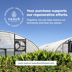 Ancient Nutrition Made in USA stamp signals quality