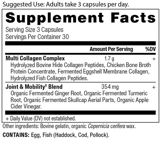 Ancient Nutrition Multi Collagen capsules closeup for convenient daily use.