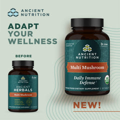 Ancient Nutrition daily tablet close-up highlighting convenient daily immune support.