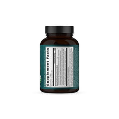 Ancient Nutrition mushroom varieties collage signals a balanced, immune-supportive blend.
